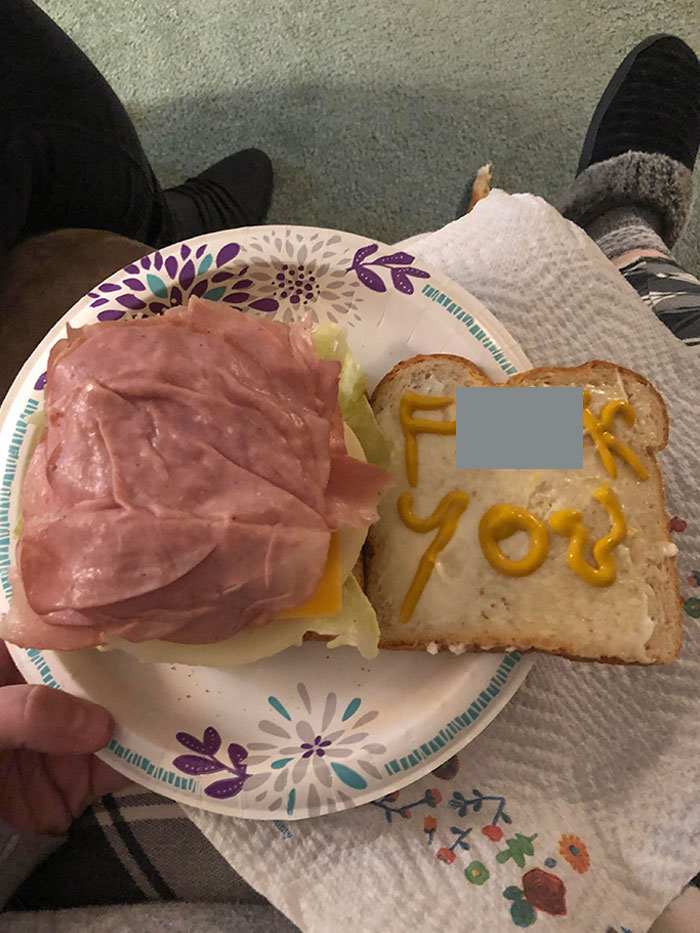 My Brother Offered My Mom A Sandwich, She Said No And Then I Said “Well How Rude, I Want A Sandwich!”. He Did Not Disappoint