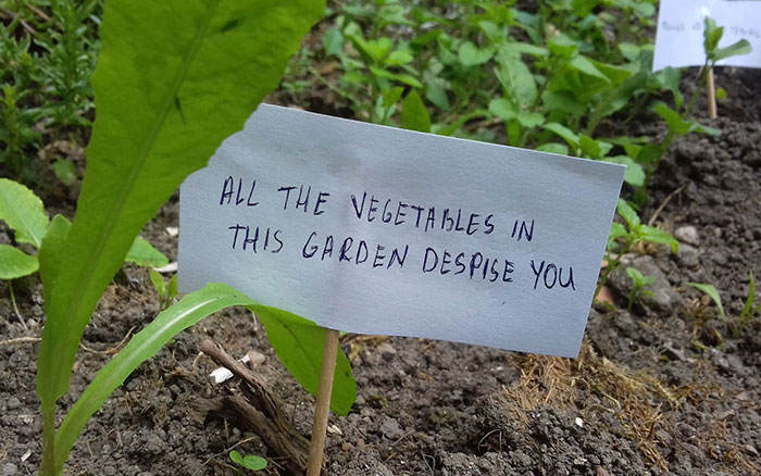 Person Wants To Scare Off Snails That Keep Munching On His Plants, Puts Up 13 ‘Intimidating’ Signs