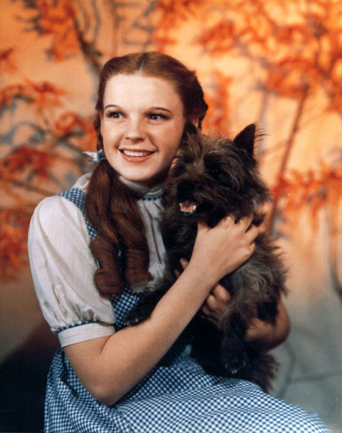 Dorothy Gale holding Toto and smiling
