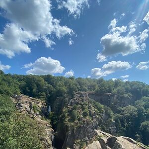 taliaolsthoorn avatar