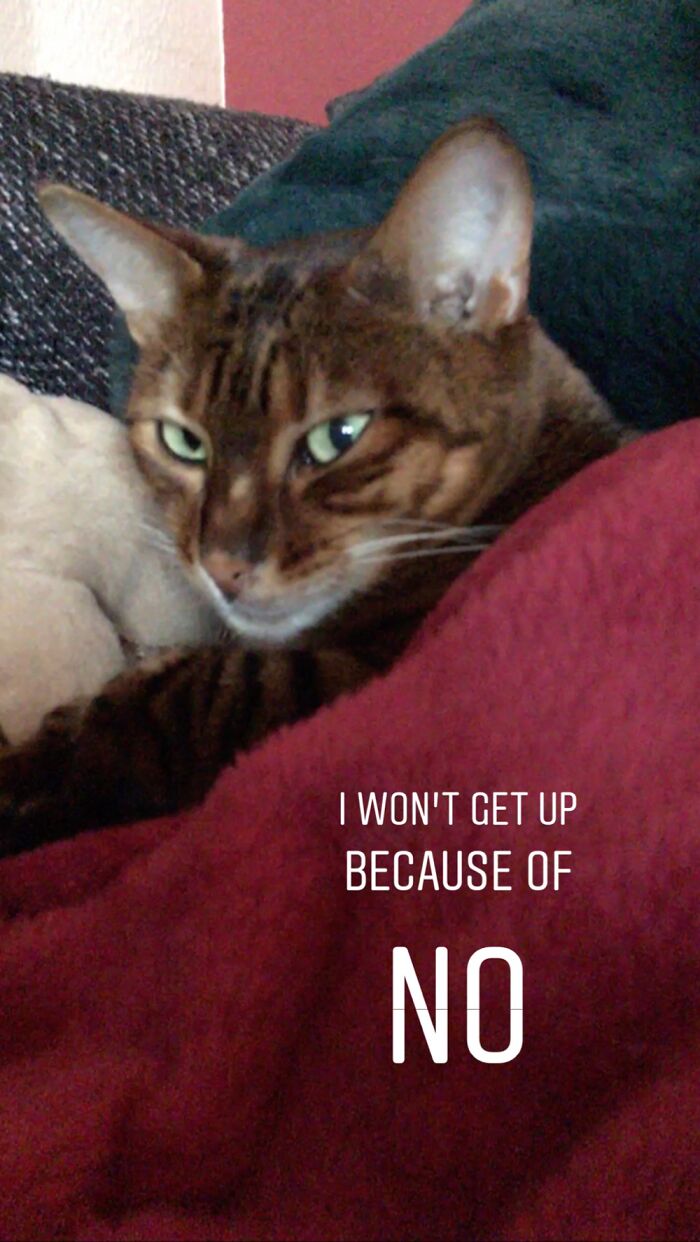 Leave Me Alone Humom