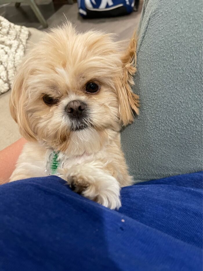 Mad Because I Kept Waking Her Up.