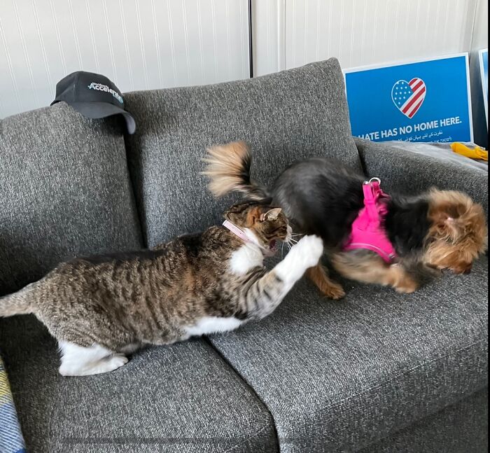 I Can’t Read And It Wouldn’t Make A Difference If I Could!