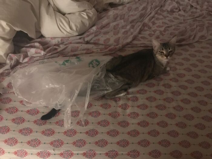 You’re Not Gonna Help Me??