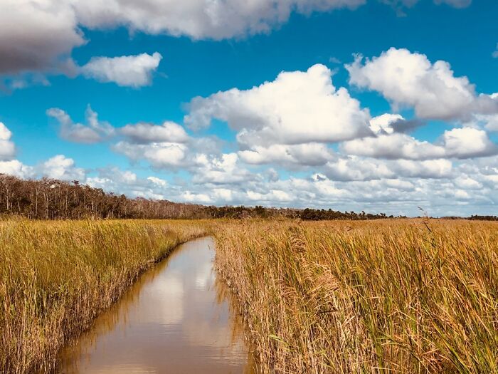 I Took This In The Everglades