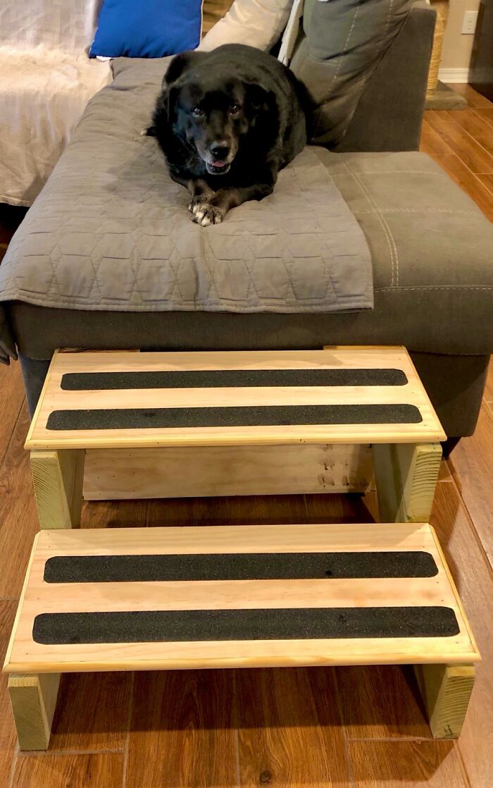I Built These Stairs So Our Couch Potato Can Climb Onto Easier