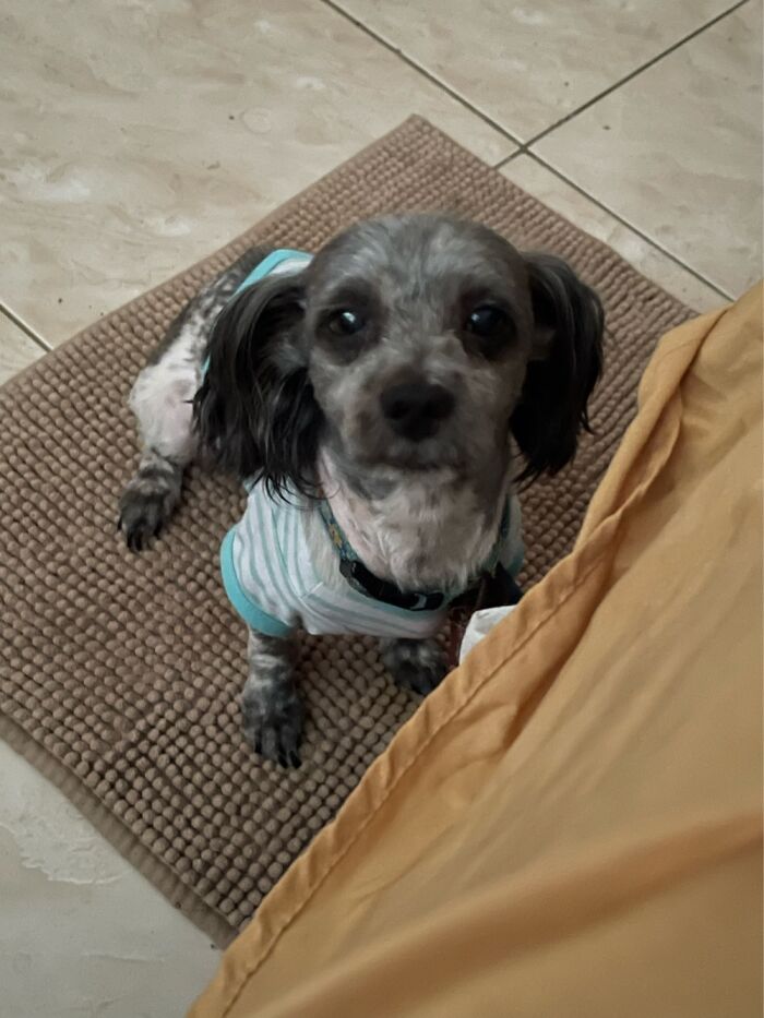 I Love Him So Much. Rayray Of Nassau, Bahamas.