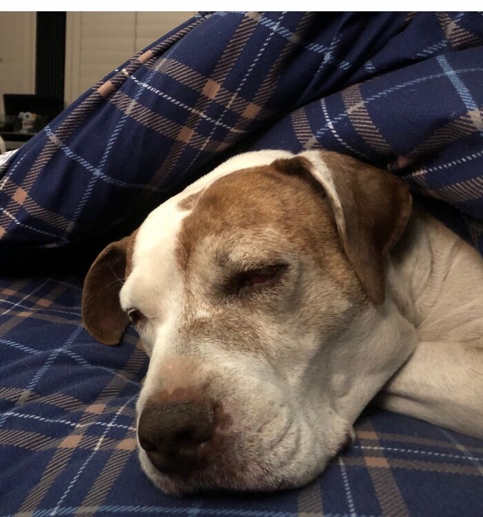 Our Beautiful, Almost 18 Years Old Girl, Gigi