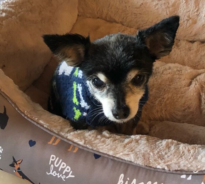 Little Xóchitlita After A Hair Cut