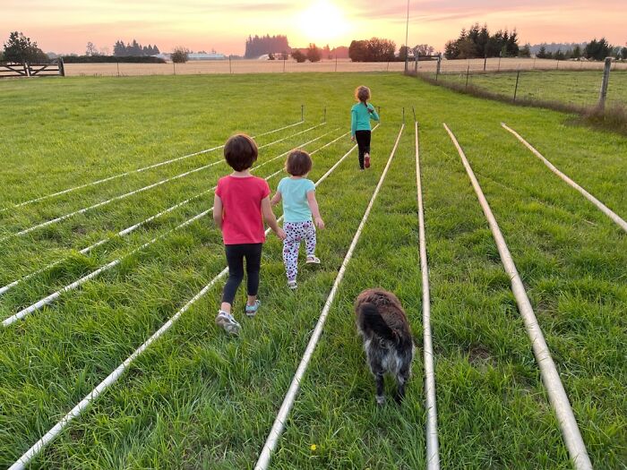 Walking With My Granddaughters, And Dog, Through Irrigation Pipes To Visit Our Cows.