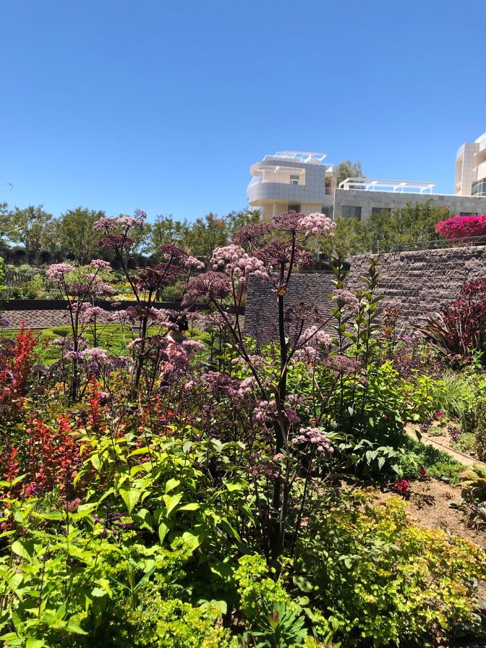 Hot Day At Getty Center