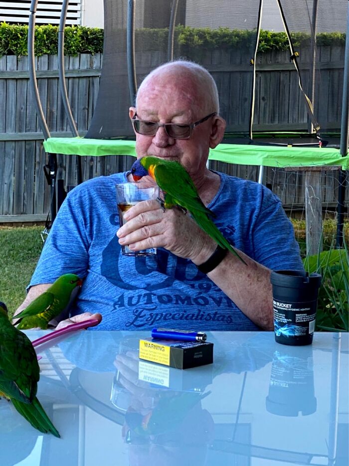 This Is My Late Dad With A Couple Of Wild Lorikeets