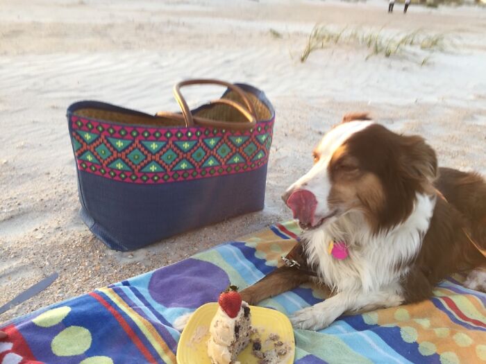 Nora Enjoying Her Birthday Cake On The Beach In St. Augustine A Few Years Ago