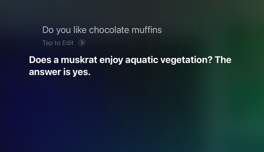 23 Funny Replies Siri Has Given Me To My Queries...