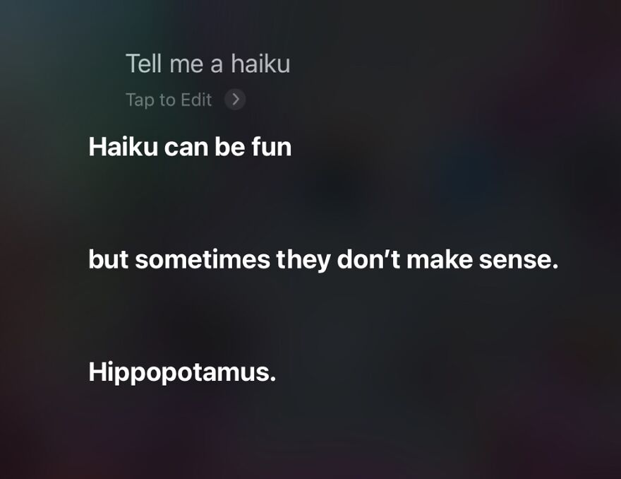 23 Funny Replies Siri Has Given Me To My Queries...