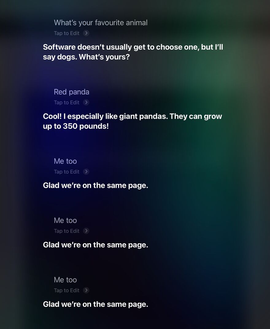 23 Funny Replies Siri Has Given Me To My Queries...