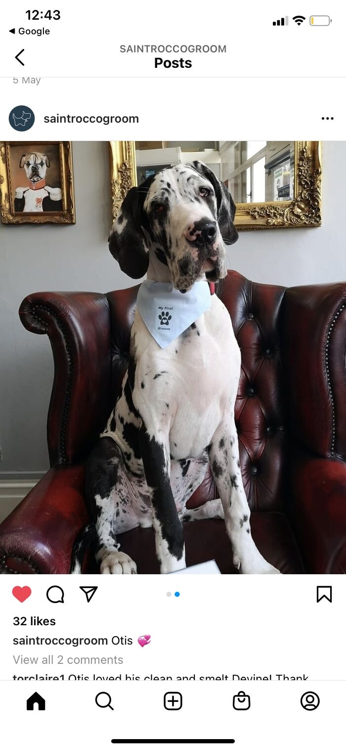 How He’s Grown 😂 How He’s Grown 😂