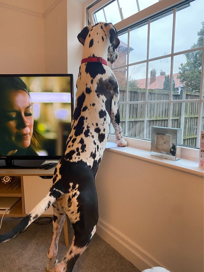 How He’s Grown 😂 How He’s Grown 😂