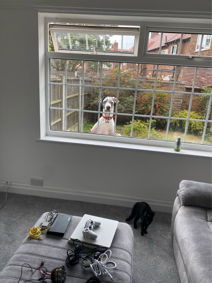 How He’s Grown 😂 How He’s Grown 😂