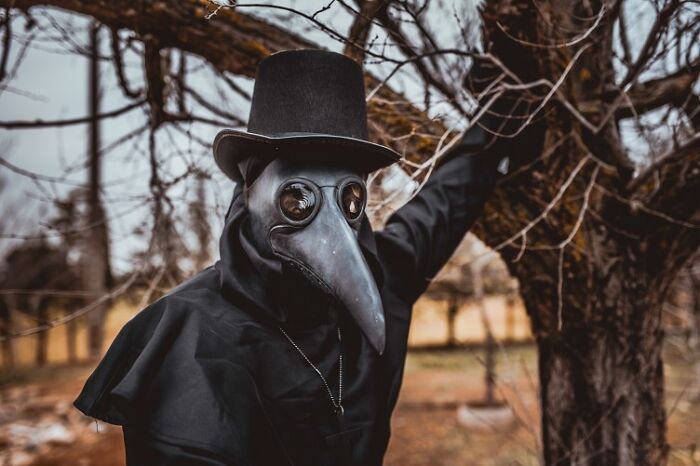 Hey Panda's! I Absolutely Love Plague Doctors. What Are Some Facts About Them That You Know!