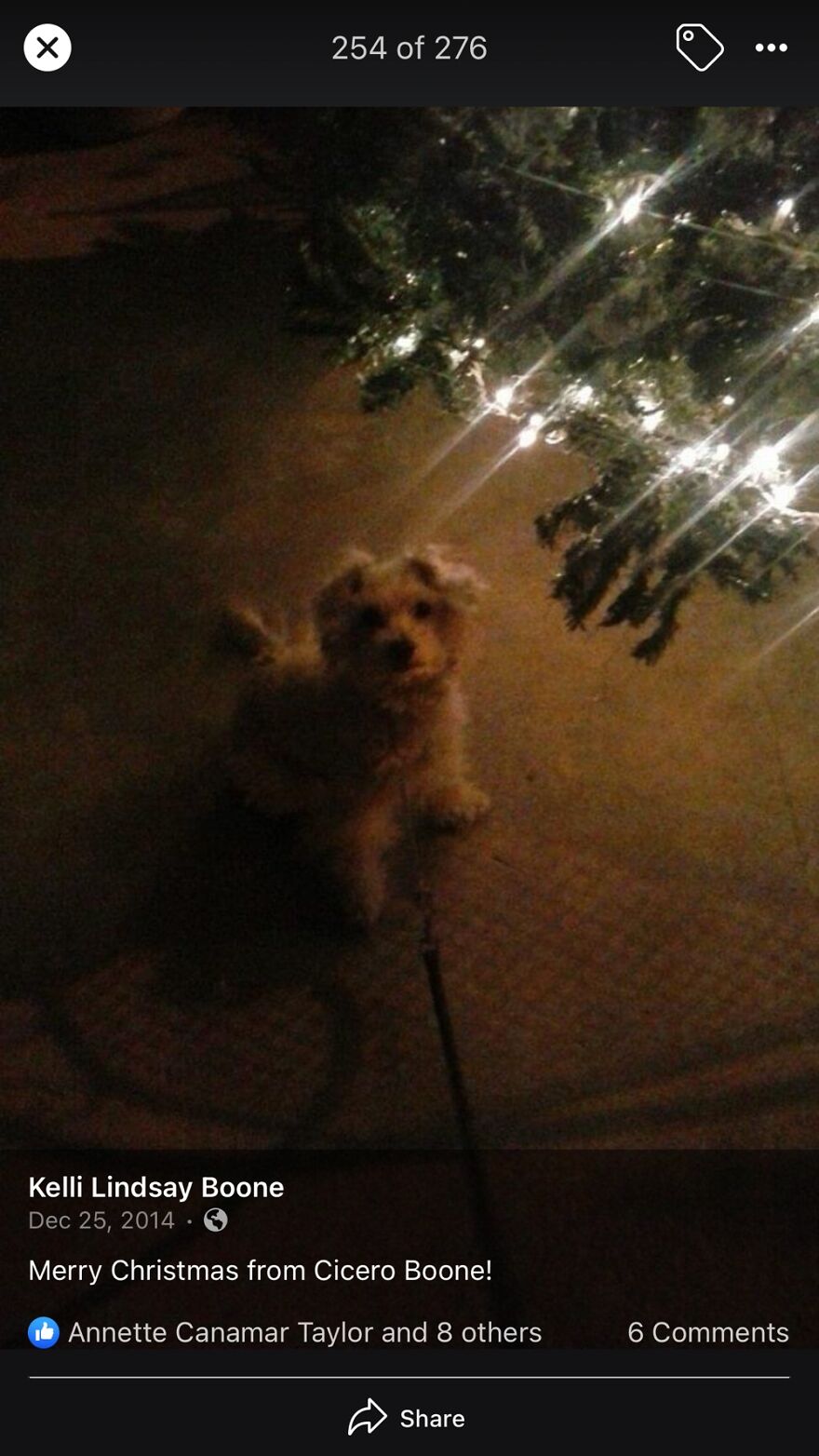 The Best Present Under The Tree, Little Cicero