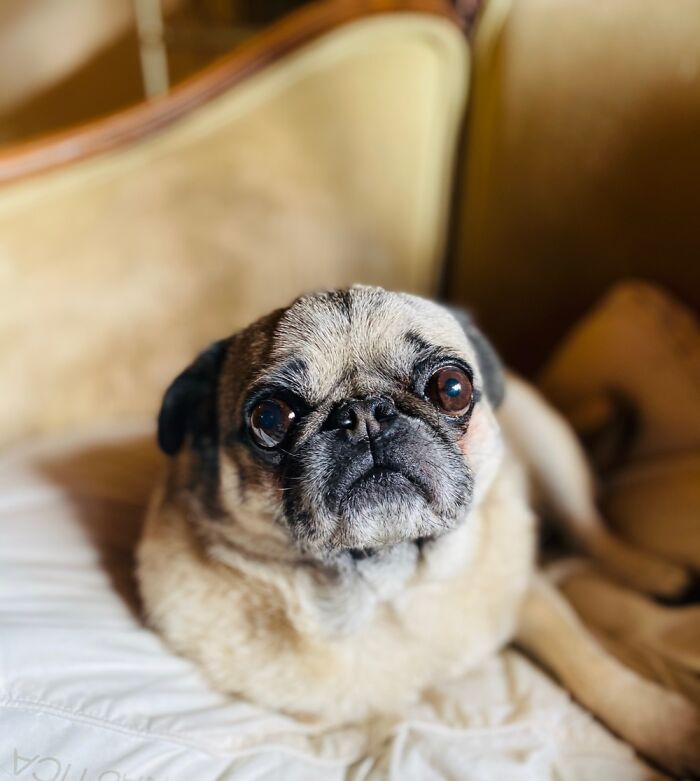 This Little Face Always Photographs Well