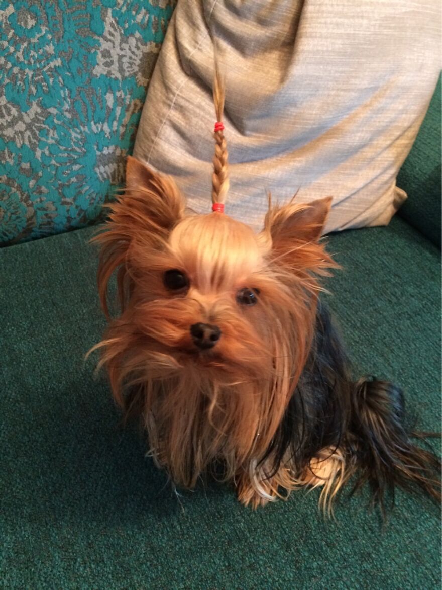 I Do Look Good, Right?