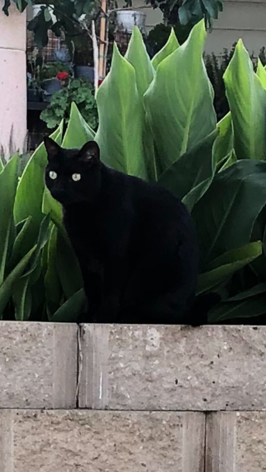 You Are Under My Watch...jinx