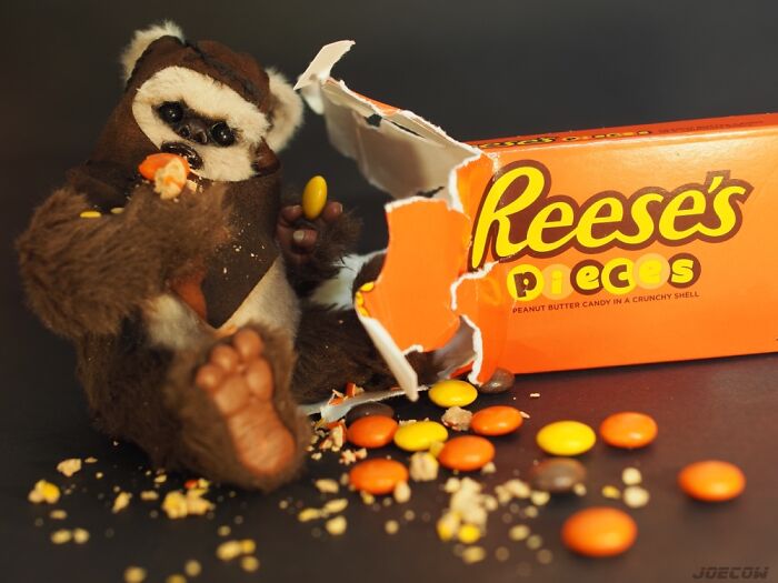 Hot Toys Wicket Adventures Hot Toys Wicket Adventures