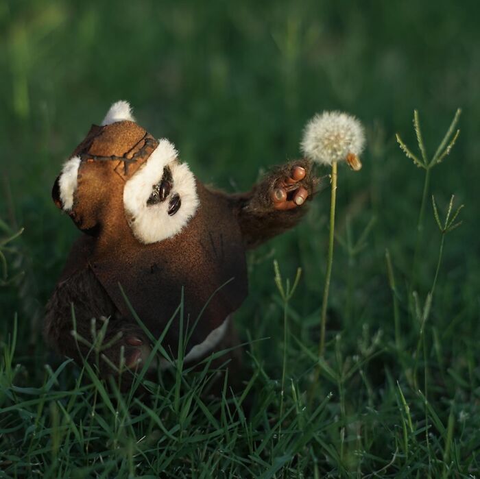 Hot Toys Wicket Adventures Hot Toys Wicket Adventures