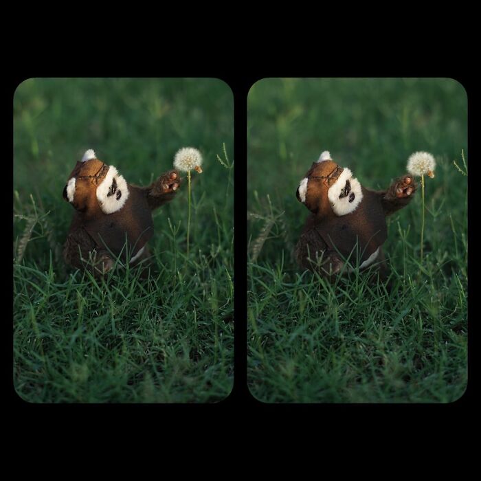 Hot Toys Wicket Adventures Hot Toys Wicket Adventures