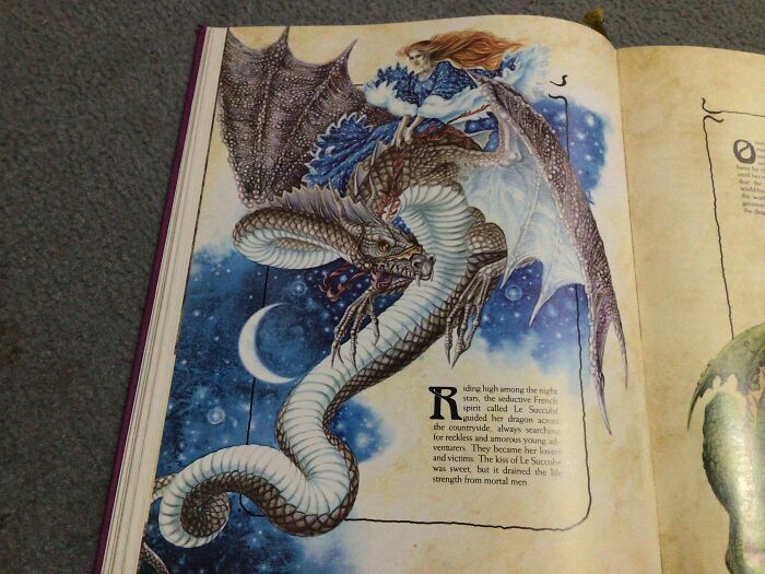 I Mean, Yes Please! (This Picture Is From The Enchanted World Book)