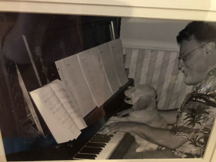 Abby Had A Special Talent We Discovered When She Was Just A Puppy. She Played Better Than Me!