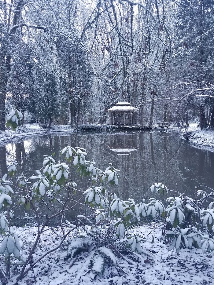 An Enchanting Snowfall That Makes My Property Look Like A Fairy Tale