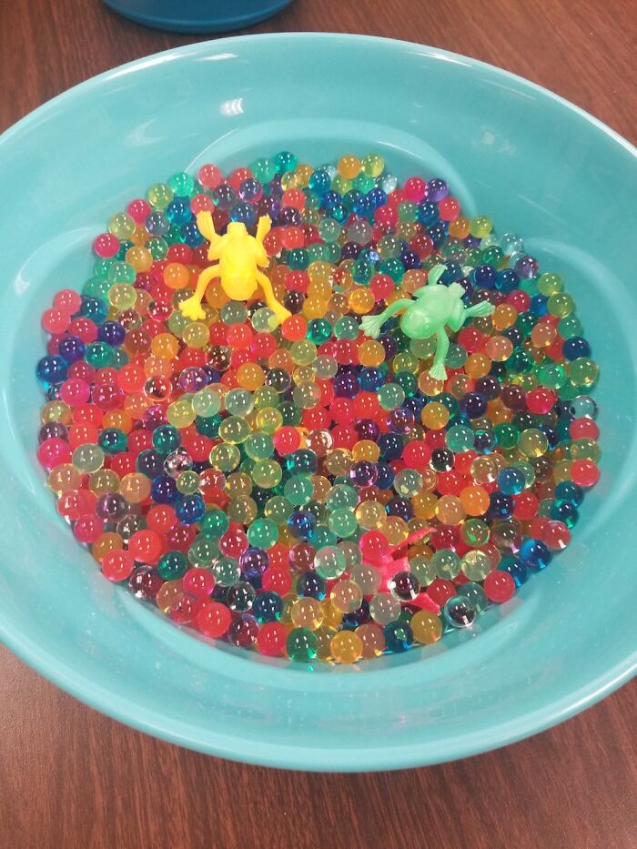 A Bowl Of Water Beads With Jumpy Frogs. Why Do I Have A Picture Of This? Oh Yeah, I’m A Teacher