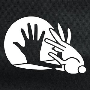 davidnelson_1 avatar