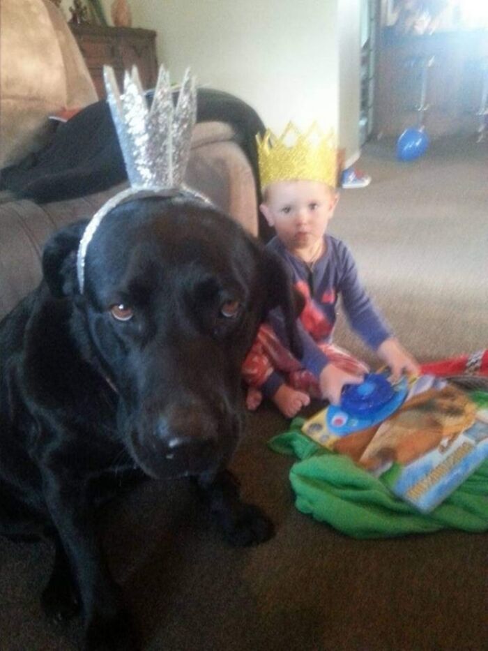 Vesta - Not Impressed