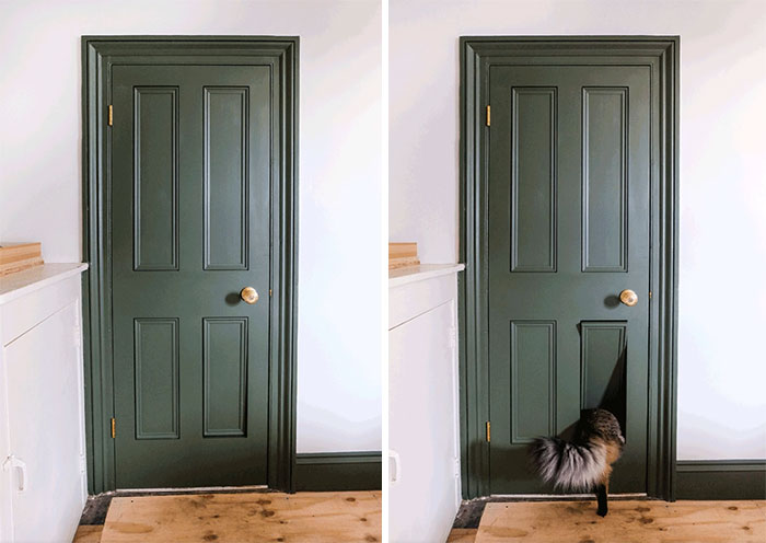 Door With A Hidden Built-In Kitty Door