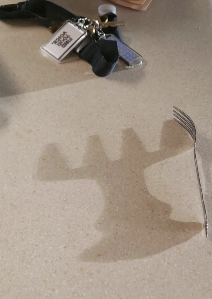 This Shadow Of A Fork At Sunset