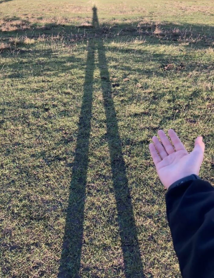 The Ridiculous Length Of My Shadow