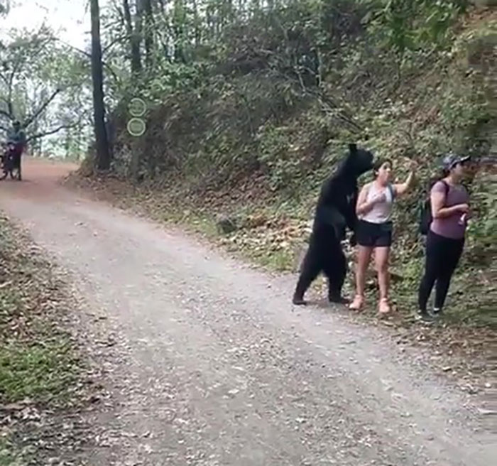 "¡Sin duda la cosa más loca que he encontrado!": Un cazador encuentra una cámara perdida con imágenes grabadas por un oso