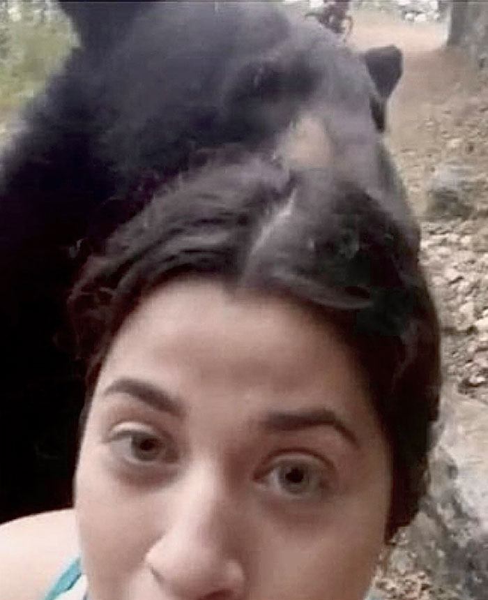 "¡Sin duda la cosa más loca que he encontrado!": Un cazador encuentra una cámara perdida con imágenes grabadas por un oso