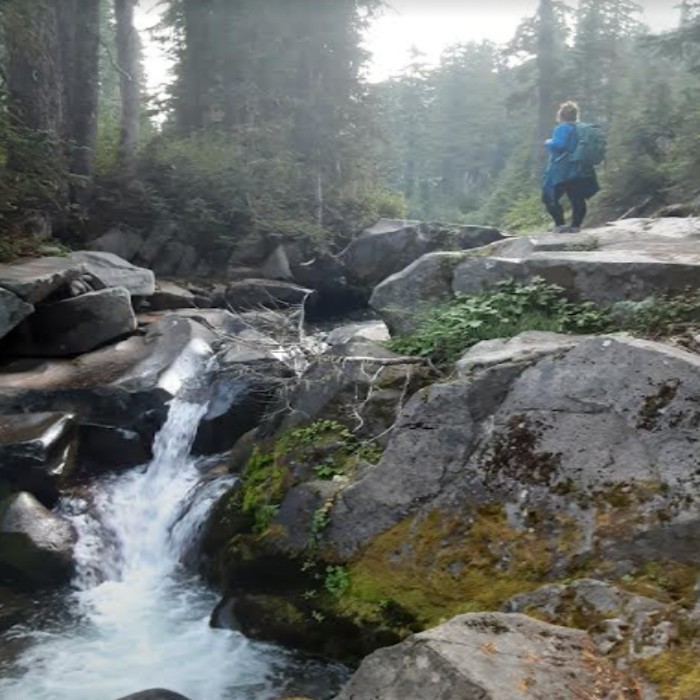 Hooowlatthemoon's Photo, I Had To Resize It For Them.