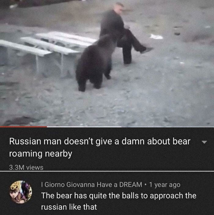 This Bear Has A Death Wish
