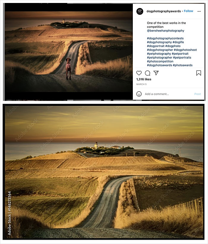 Photographer Caught Photoshopping His Photos From Stock Pictures, Denies Everything Until He's Totally Exposed Photographer Caught Photoshopping His Photos From Stock Pictures, Denies Everything Until He's Totally Exposed