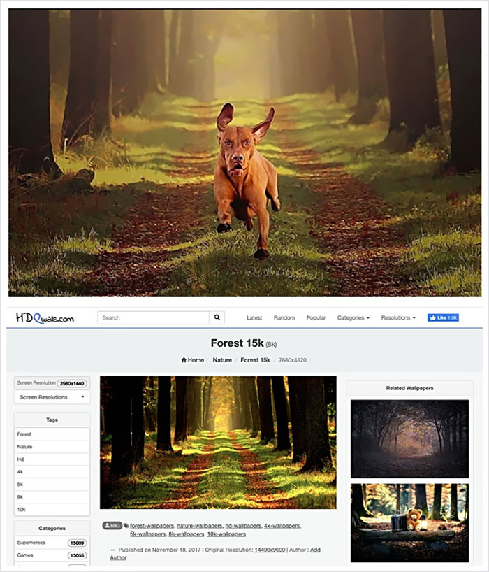 Photographer Caught Photoshopping His Photos From Stock Pictures, Denies Everything Until He's Totally Exposed Photographer Caught Photoshopping His Photos From Stock Pictures, Denies Everything Until He's Totally Exposed