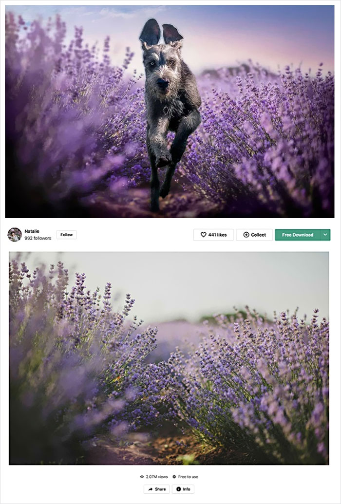 Photographer Caught Photoshopping His Photos From Stock Pictures, Denies Everything Until He's Totally Exposed Photographer Caught Photoshopping His Photos From Stock Pictures, Denies Everything Until He's Totally Exposed