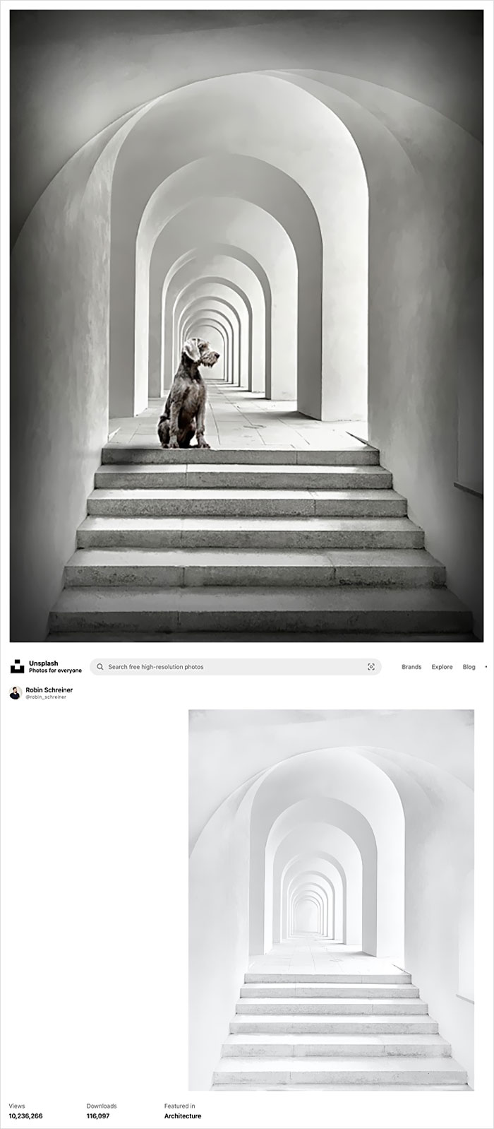 Photographer Caught Photoshopping His Photos From Stock Pictures, Denies Everything Until He's Totally Exposed Photographer Caught Photoshopping His Photos From Stock Pictures, Denies Everything Until He's Totally Exposed