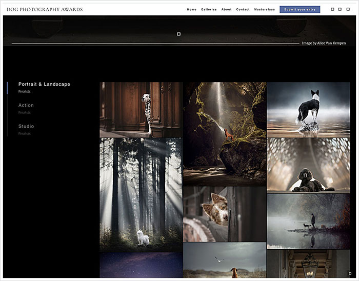 Photographer Caught Photoshopping His Photos From Stock Pictures, Denies Everything Until He's Totally Exposed Photographer Caught Photoshopping His Photos From Stock Pictures, Denies Everything Until He's Totally Exposed