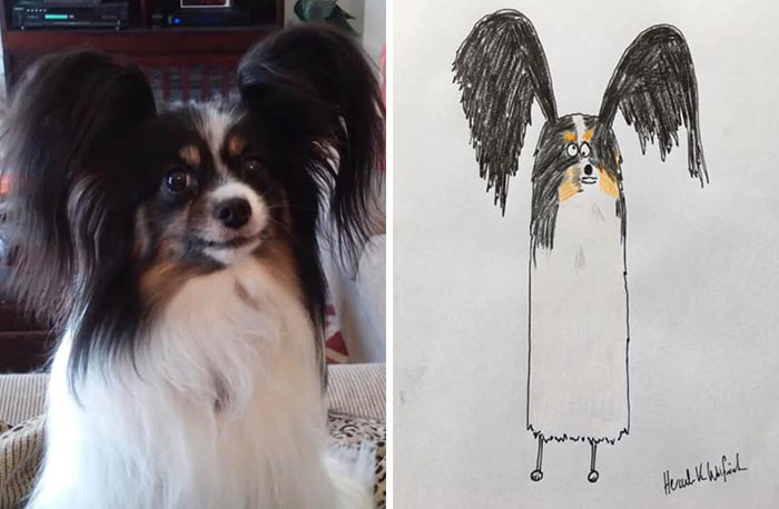 30 Animal Portraits Drawn So Badly, They Look Like Masterpieces